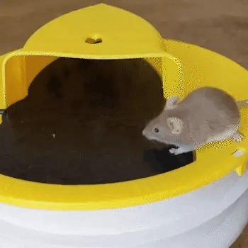 🔥Hot Sale -Bucket Lid Rat Trap